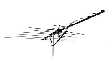 Terrestrials